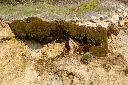 VS-Gotland-070